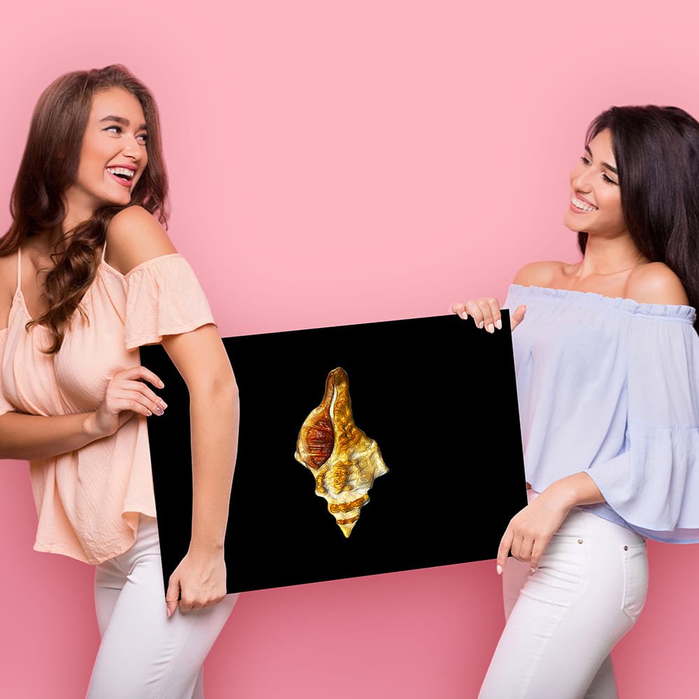 Conch Shell Polygon Wall Art – A Modern Take on Timeless Elegance